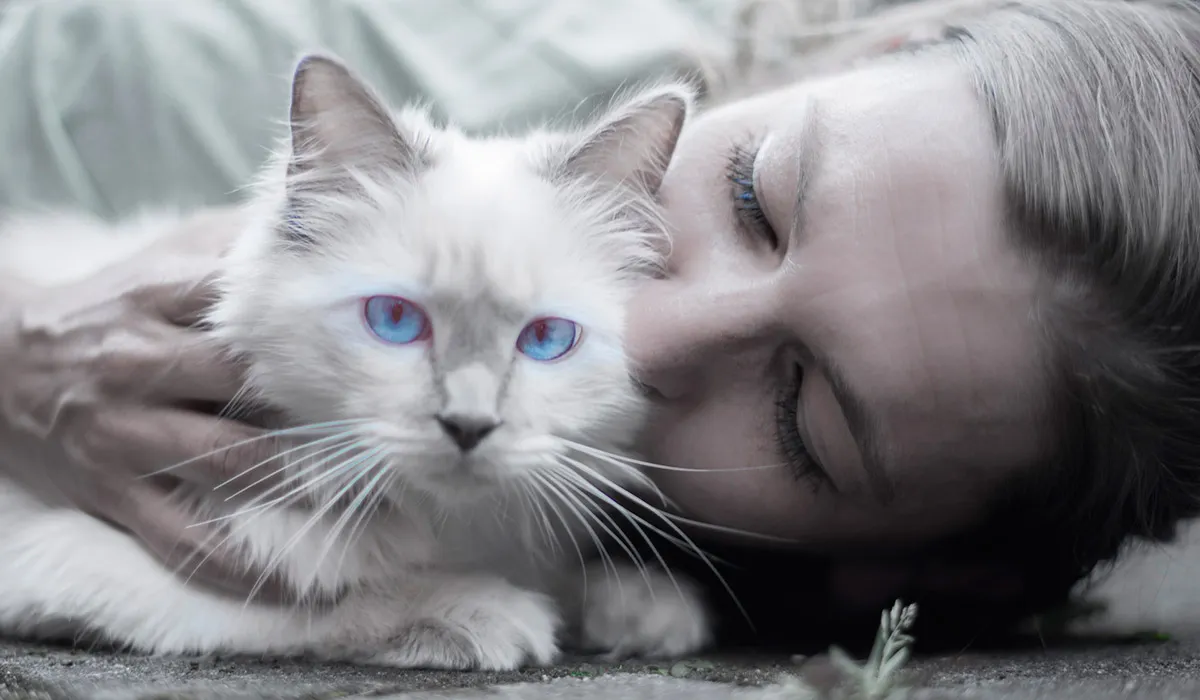 Yashirin kamera jinsiy porno ota va qiz royxatga olish holda